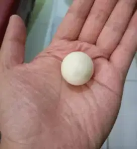 TELUR KECIL BEBEK MANILA JANTAN UNIK