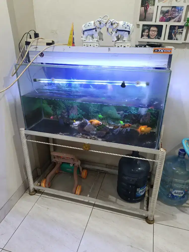 Aquarium full set