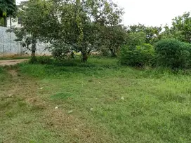 Tanah Di Jl. H. Jamat, Desa Buaran, Ciater Serpong, Tangerang
