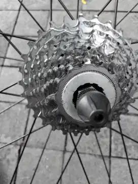 Sproket campagnolo 10 sp