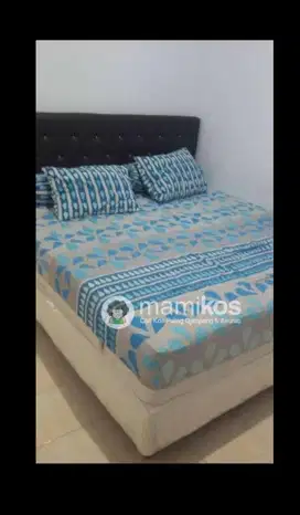 Dijual Cepat Rumah Kost Full Anak Kost Candi Mendut Dekat Kampus UB