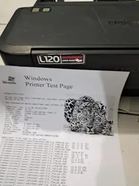 Printer epson L120 tinghal pke