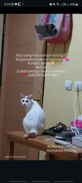 Adopsi majikan gratis
