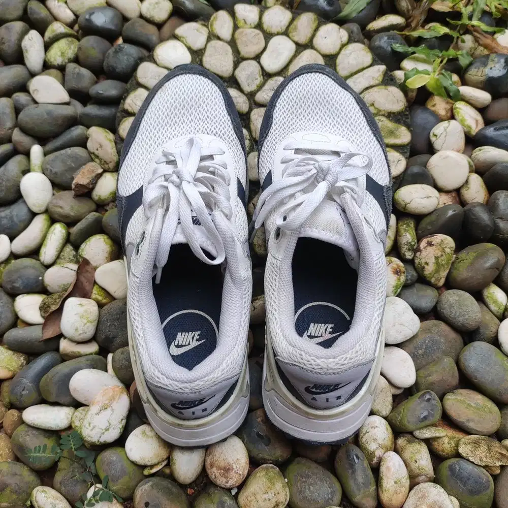 Sepatu Nike Air Max (44)