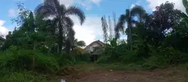 Tanah Kavling Di Jual Murah Dekat Dengan Kampus IPB Bogor