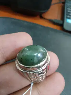 Batu Cincin Neprit Aceh (06)