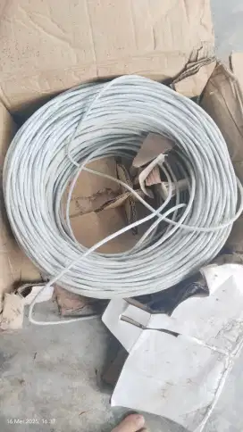 Kabel Cat 6 Schneider