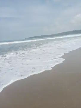 di cari lowongan kerja