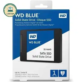 SSD WD Blue 1TB ( New)