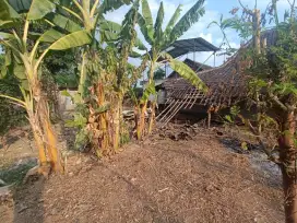 Tanah 60 mojosongo jebres