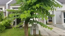 Dijual Rumah Suvarna Sutera, Cluster Fedora 1, No 15
