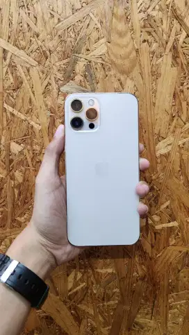 iPhone 12 Pro Max 128 GB Beacukai