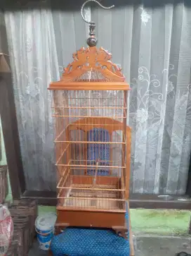 Sangkar jati 100