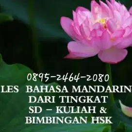 Les privat mandarin