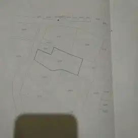 Dijual Tanah Sawah Lokasi Strategis Balong Panggang Gresik