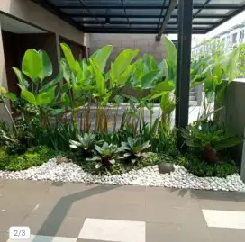 Taman kering mini