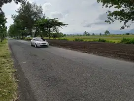 Tanah Murah Bojong Gede Legalitas SHM Dekat Stasiun Bojong Gede