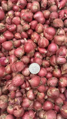 Bawang merah super
