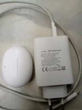 Casan Vivo type C flash charge 80watt original+headset