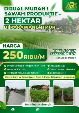 Sawah 2 Hektar di Karawang Timur Rp 250rb/m