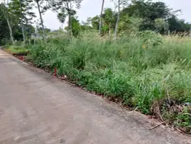 1,75 Jt/Meter Kavling Tajur Halang Bogor, Cocok Untuk Invest