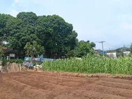 Kavling Murah Tamansari, Cicil 30 Bulan Tanpa Bunga Free SHM