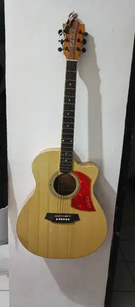 Gitar Akustik Elektrik Cole Clark Custom