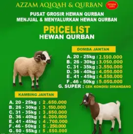 Jual kambing kurban