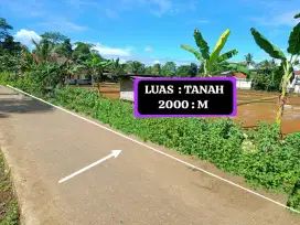DI JUAL TANAH KOLAM IKAN