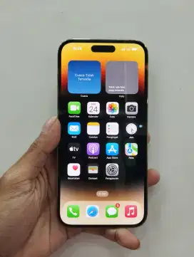 Iphone 14 Pro Max 256Gb Ibox Second