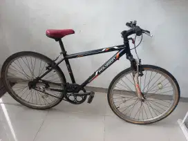 Polygon Monarch Modif Fixie