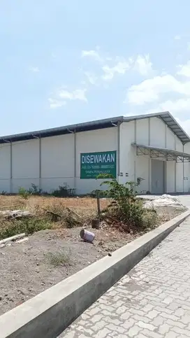 Disewakan 2 Gudang Di Jalan Besar Sayung Depan Polytron
