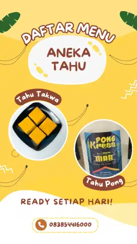 Tahu Pong Kress Cup