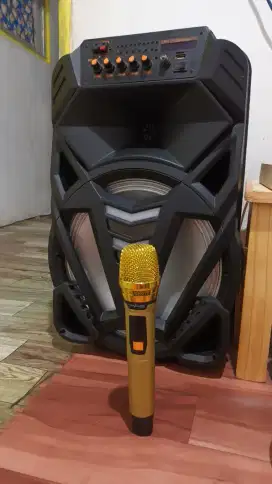 Speaker bluetooth advance 14 inch