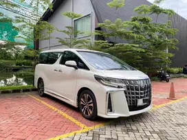 TOYOTA APHARD G ATPM 2023