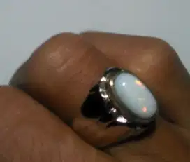 Kalimaya Milky Banten Mulus