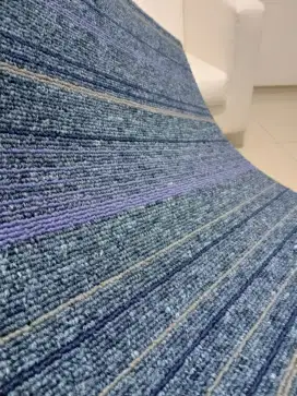 Karpet belum dipakai salah warna