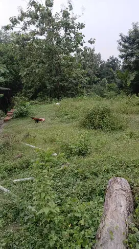 Tanah dijual, Investasii Berkah dan Multifungsi