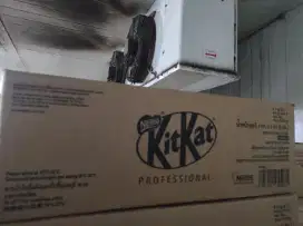 Kitkat Spread 1 karton