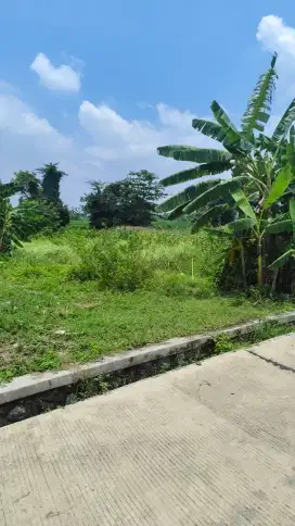 Di Jual Tanah Deket Trawas