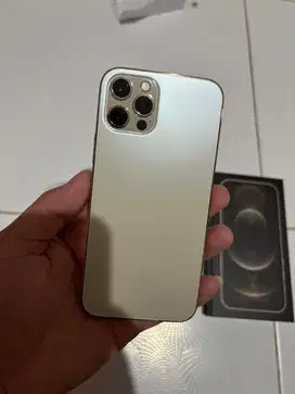 Iphone 12 pro 256 xl only (bukan sim lock)