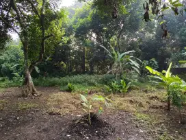 Di jual Tanah 1422 Meter