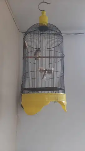 Jual kandang love bird fullset