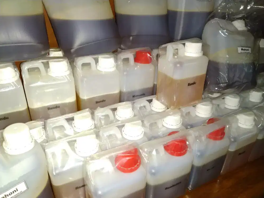 Jual Madu Albasia