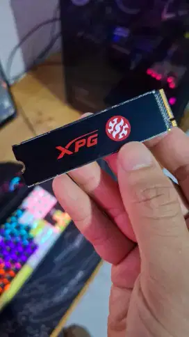 SSD M.2 NVME XPG Gen3 256GB
