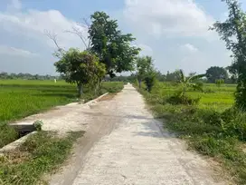 Tanah SHM Cocok untuk Rumah Homestay Dekat Candi Prambanan Strategis