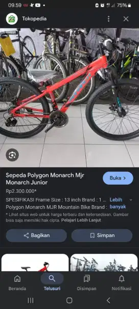 Sepeda Polygon Monarch mjr