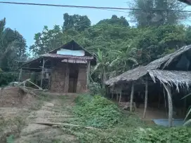 JUAL MURAH/TURUN HARGA  TANAH KEBUN