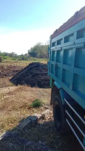 Pasir Lumajang Asli