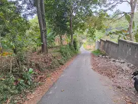 Tanah pinggir jalan surat sertifikat